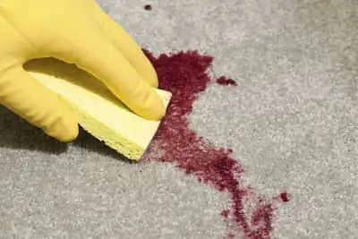Carpet Blood Removal